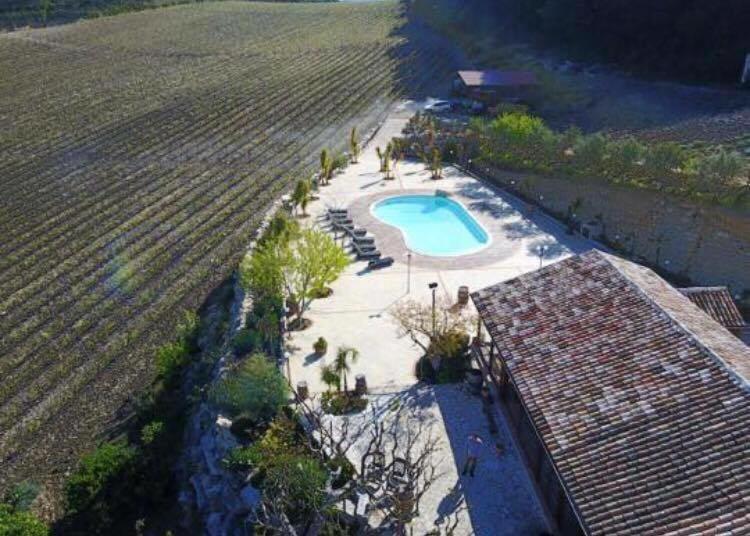 Agriturismo Tenute Pispisa Segesta Calatafimi Buitenkant foto
