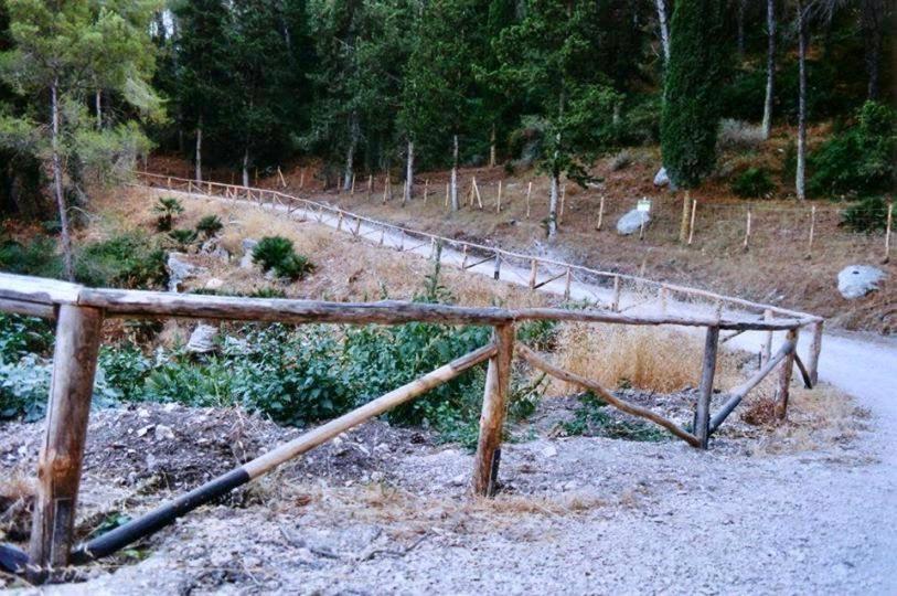 Agriturismo Tenute Pispisa Segesta Calatafimi Buitenkant foto