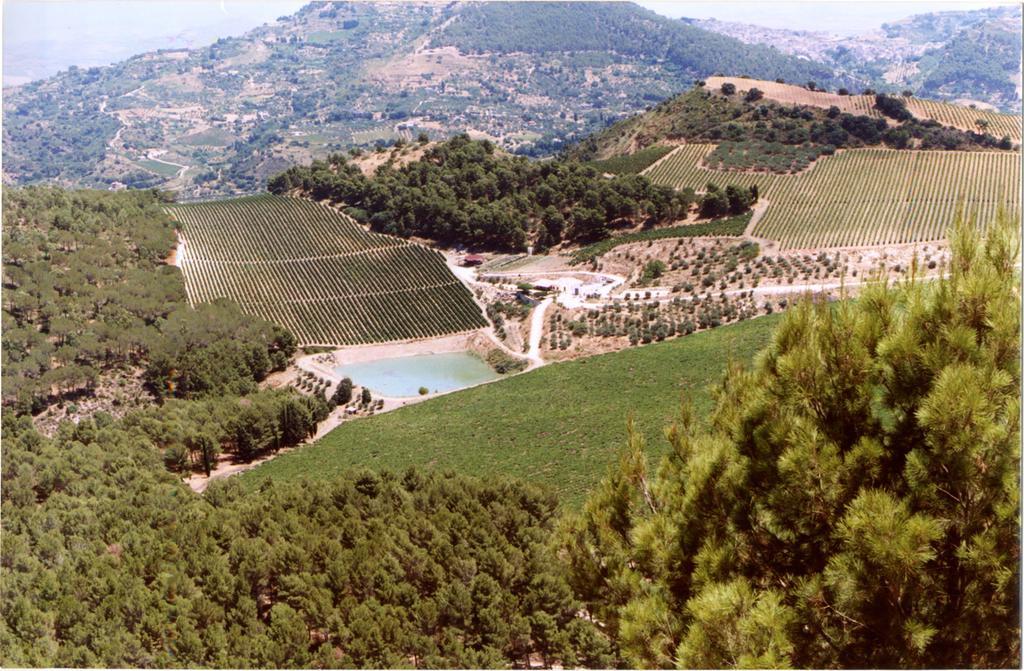 Agriturismo Tenute Pispisa Segesta Calatafimi Buitenkant foto