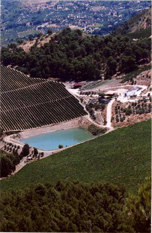 Agriturismo Tenute Pispisa Segesta Calatafimi Buitenkant foto