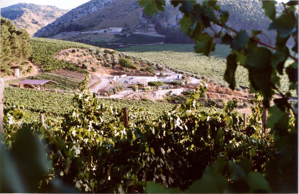 Agriturismo Tenute Pispisa Segesta Calatafimi Buitenkant foto