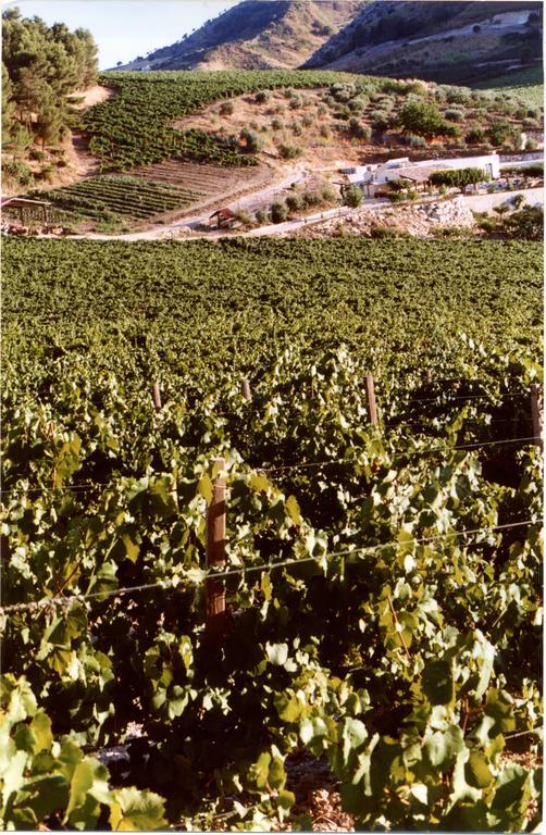Agriturismo Tenute Pispisa Segesta Calatafimi Buitenkant foto