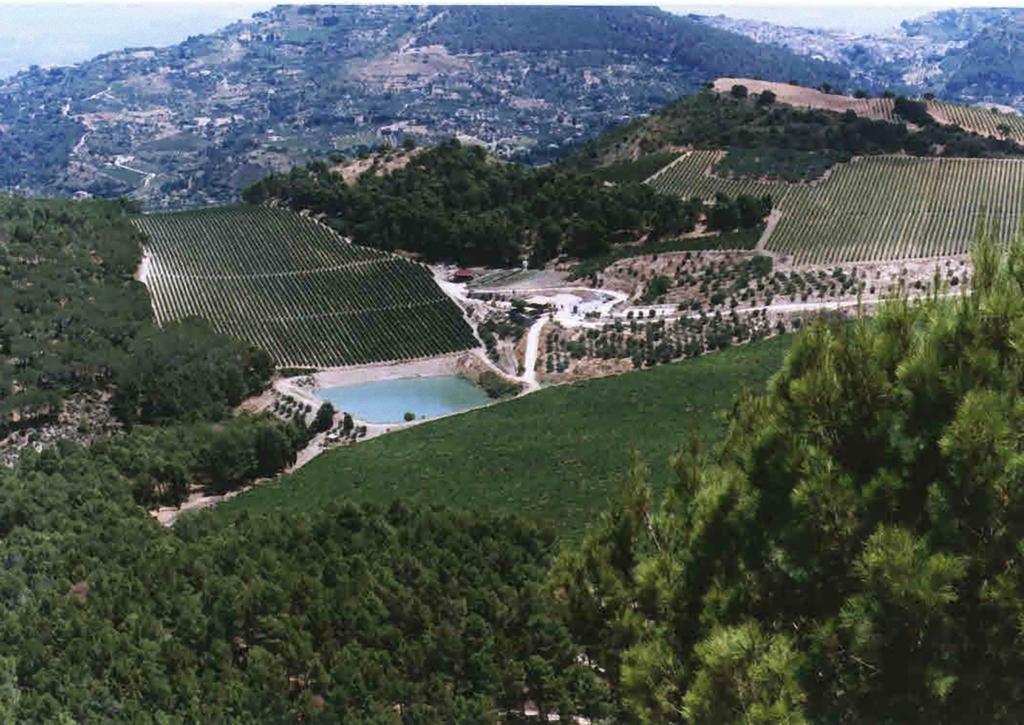 Agriturismo Tenute Pispisa Segesta Calatafimi Buitenkant foto