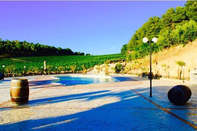 Agriturismo Tenute Pispisa Segesta Calatafimi Buitenkant foto